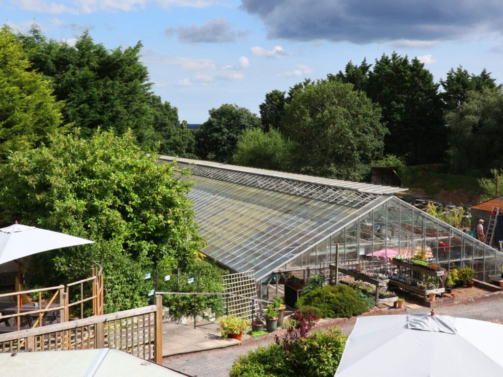View of the greenhouse from above.