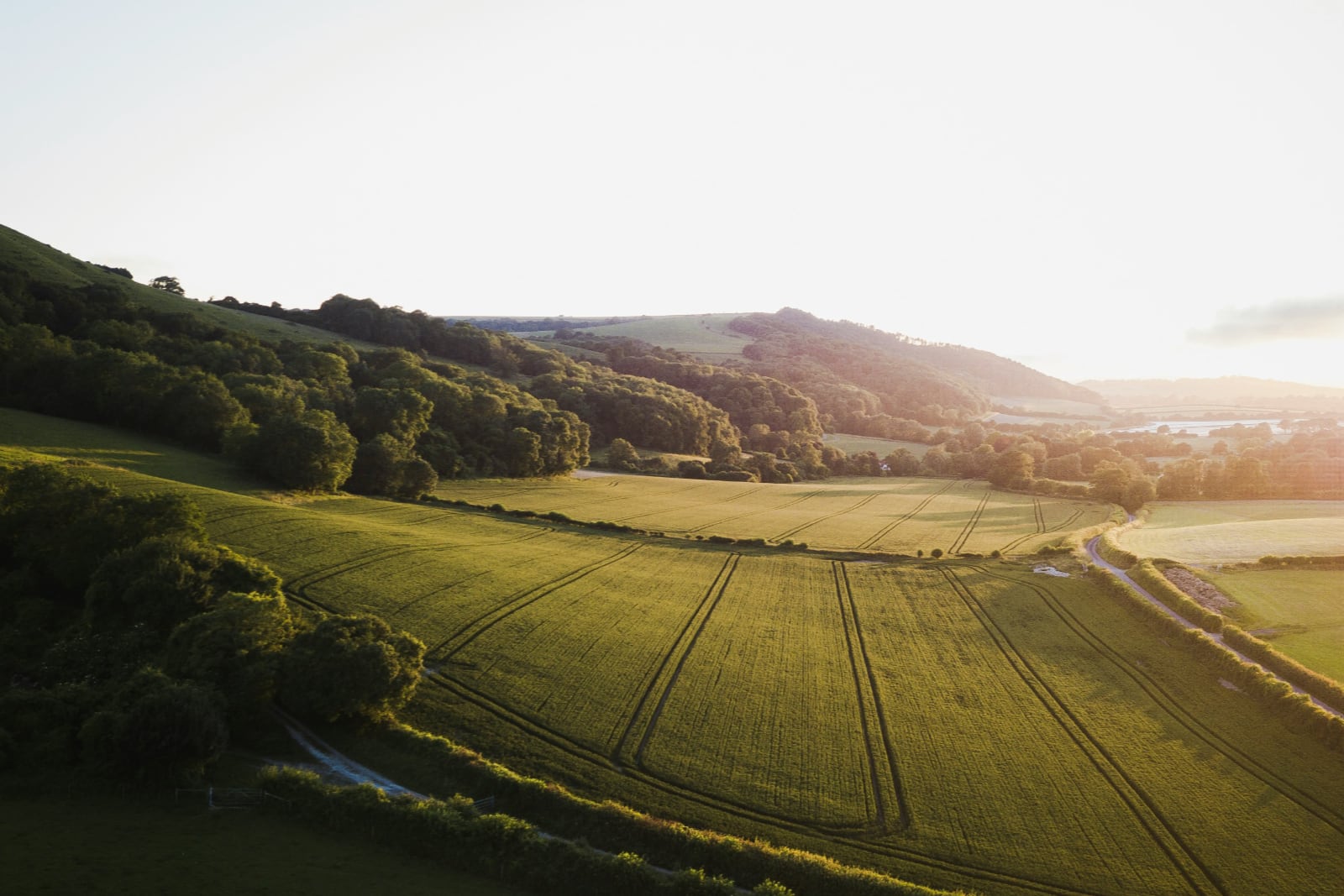 Sustainable Land project