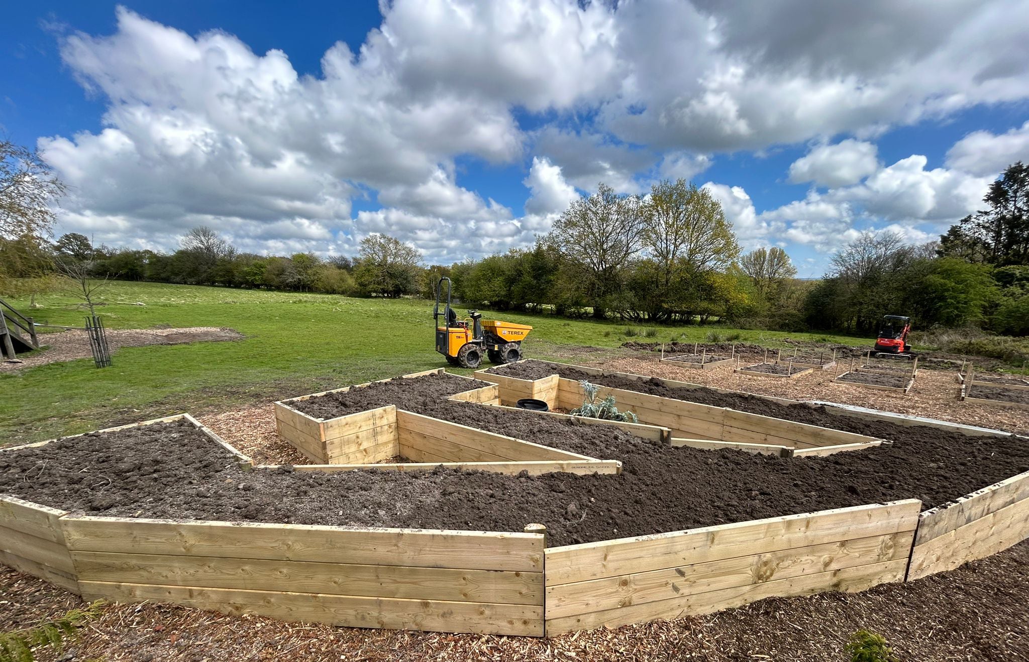 The Kitchen garden : We’ve come a long way!