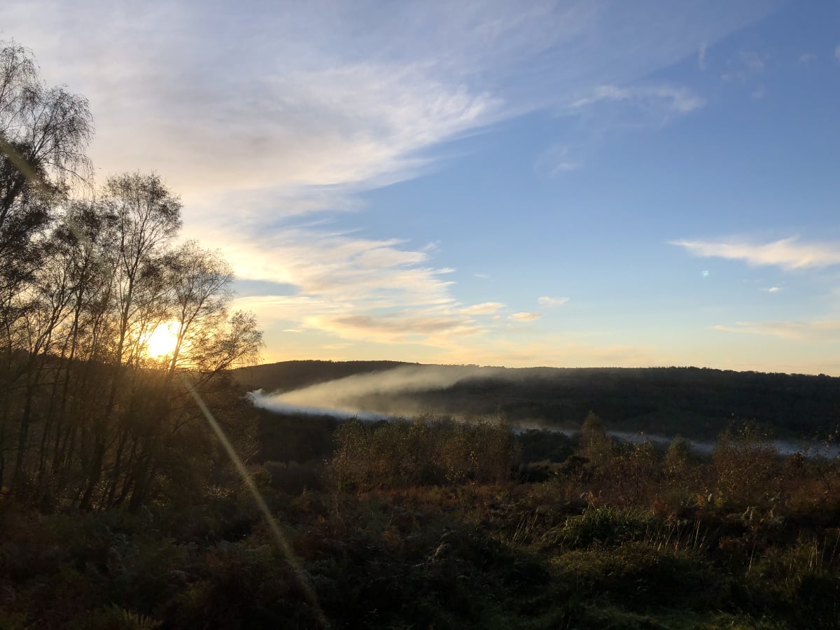 View over the Ashdown Forest with mist in the distance.