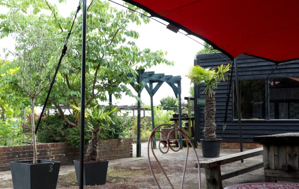 Seating and plants in the Courtyard