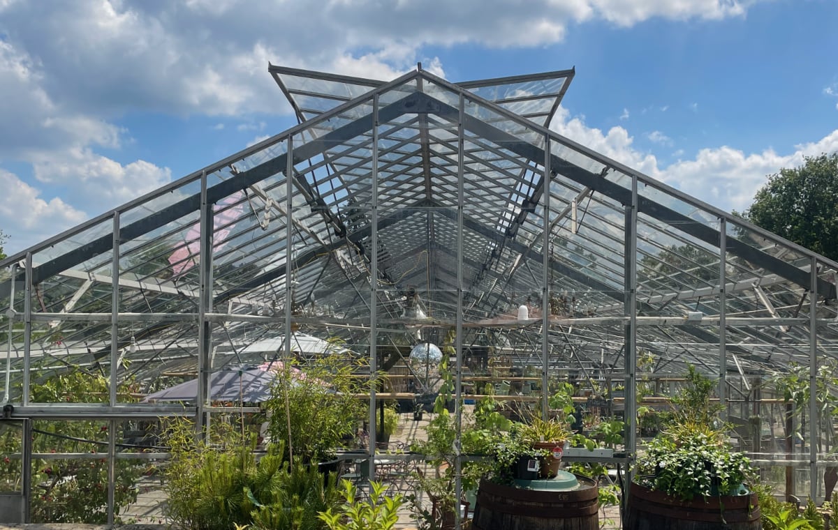 The outside of our greenhouse in the sunshine.