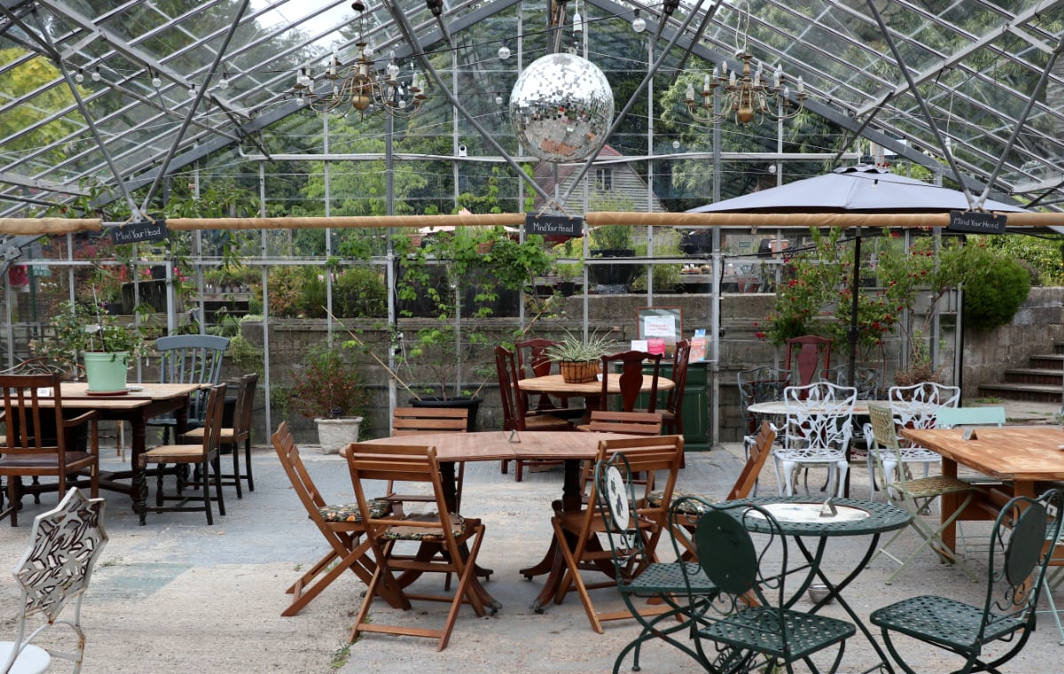 Interior of our greenhouse.