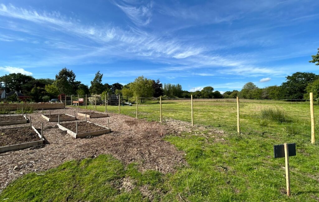 The finished deer fencing.