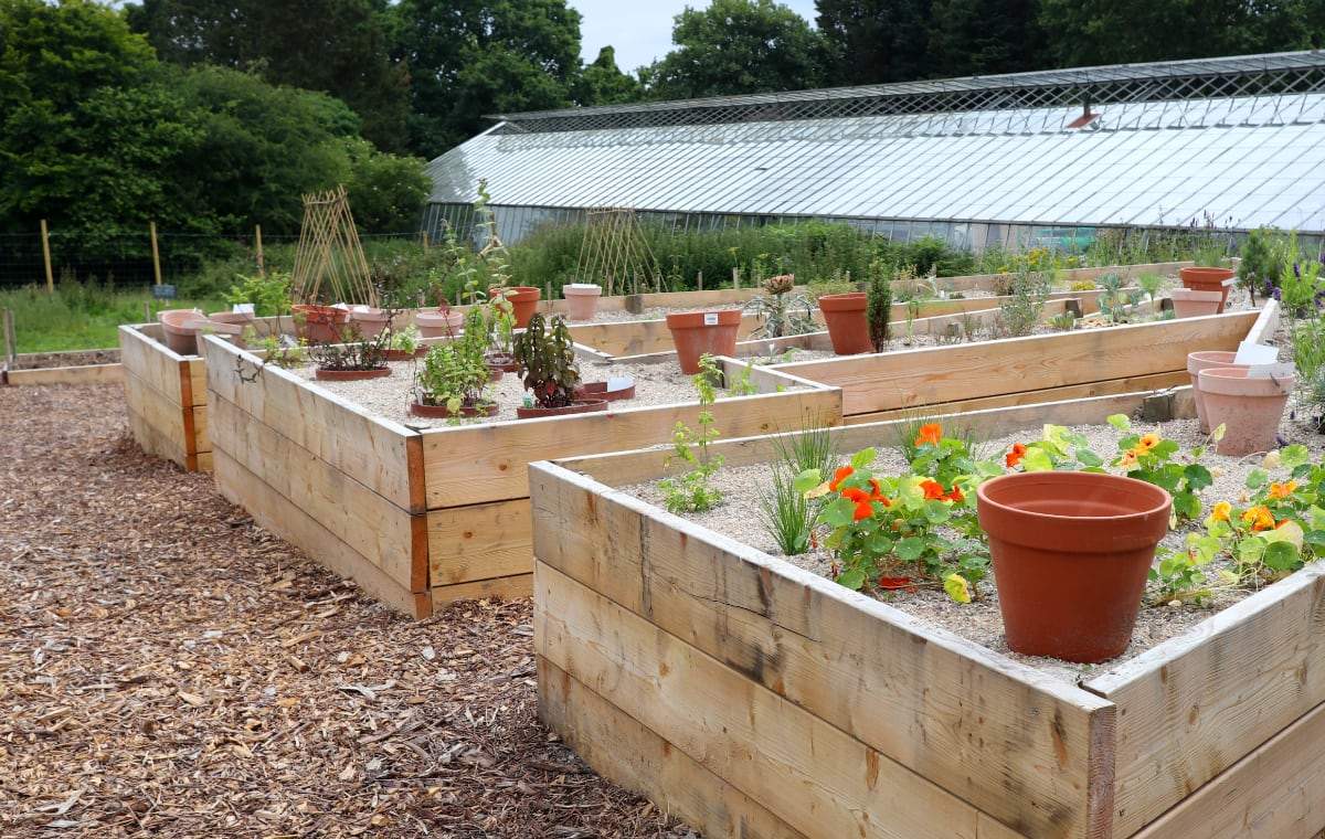 The view of the Kitchen Garden raised herb beds.