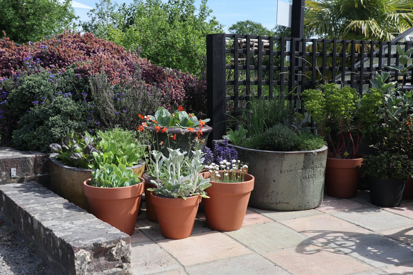 The container garden at Babylon.