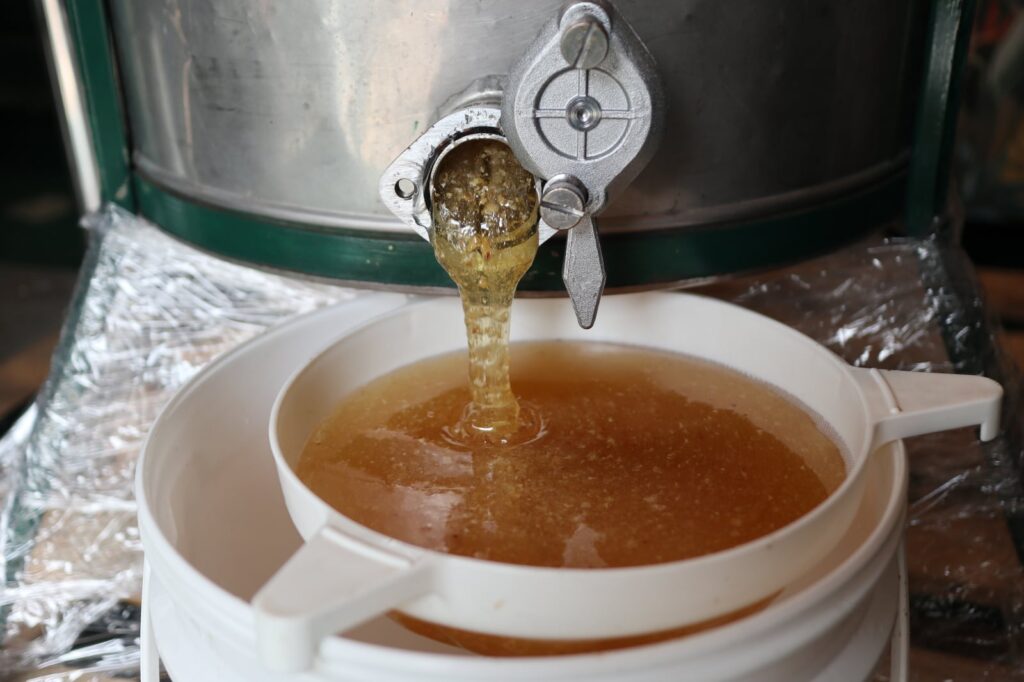 The honey being sieved after extraction